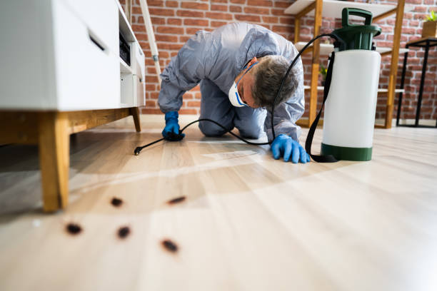 Cockroach Control