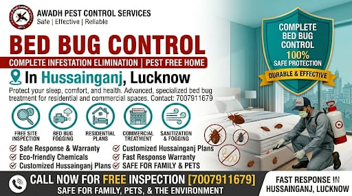 Professional Bed Bug Control Service in Hussainganj Lucknow