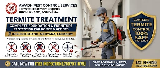 Professional Termite Treatment Service in Ruchi Khand Ashiyana Lucknow