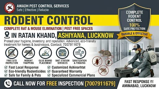Professional Rodent Control Service in Ratan Khand Ashiyana Lucknow