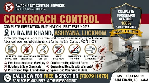 Professional Cockroach Control Service in Rajni Khand Ashiyana Lucknow