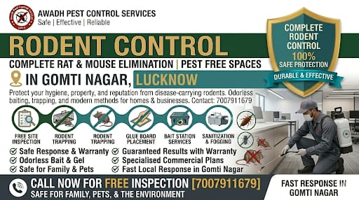 Professional Rodent Control Service in Gomti Nagar Lucknow