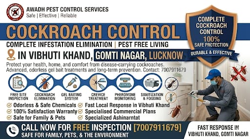 Professional Cockroach Control Service in Vibhuti Khand Gomti Nagar Lucknow
