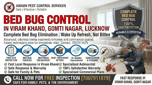 Professional Bed Bug Control Service in Viram Khand Gomti Nagar Lucknow
