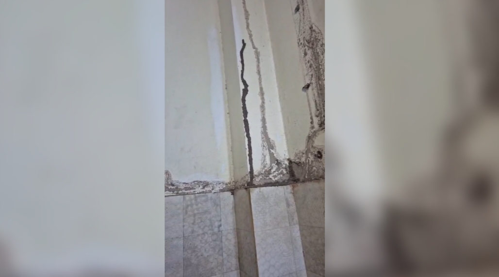 Professional Termite Treatment Service on Faizabad Road Lucknow