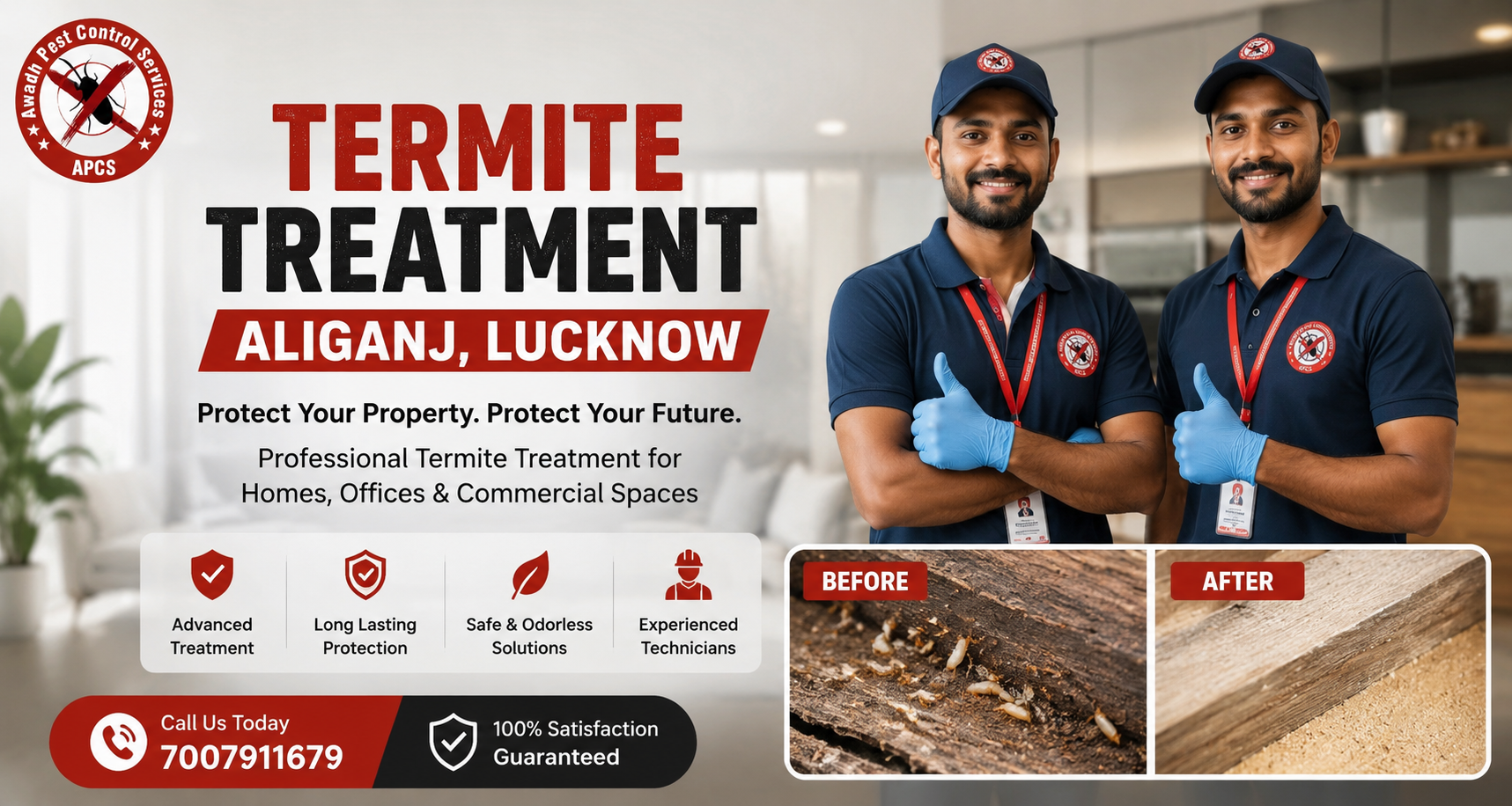 Professional Termite Treatment Service in Aliganj Lucknow