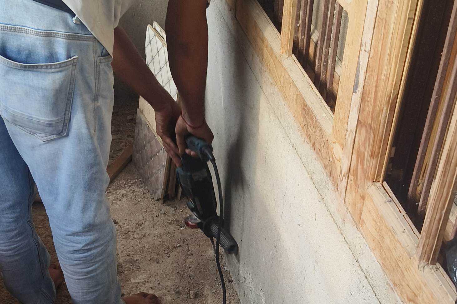 Professional Deemak Control Service on Raebareli Road Lucknow