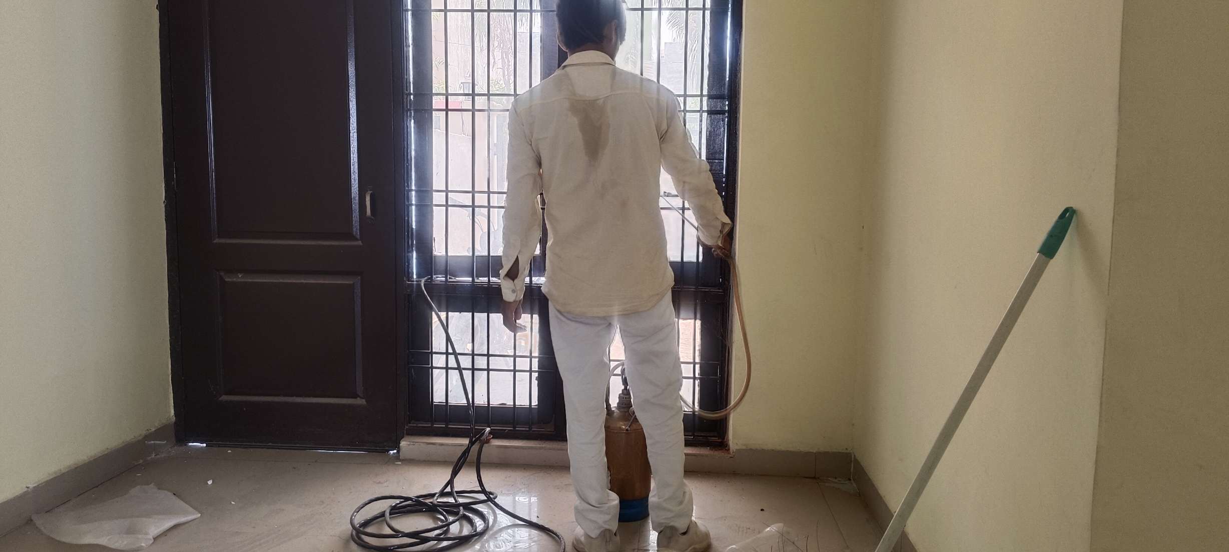 Professional Deemak Control Service on IIM Road Lucknow