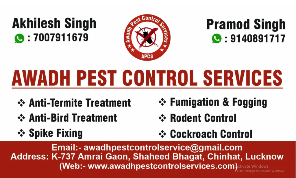 Awadh Pest Control Services