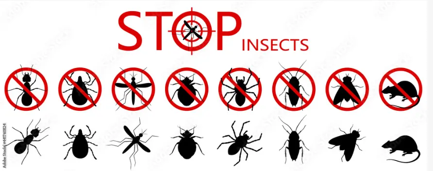 Awadh pest control services