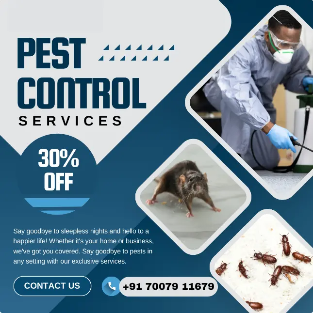 Best pest control services